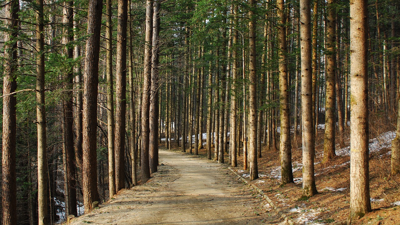 강릉 주문진 여행: BTS와 함께한 해변의 추억