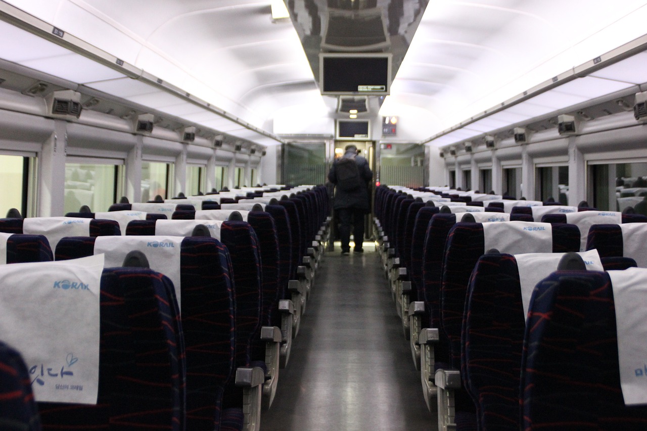 전주 여행, 동물원과 드림랜드에서 특별한 하루를 만들어보세요!