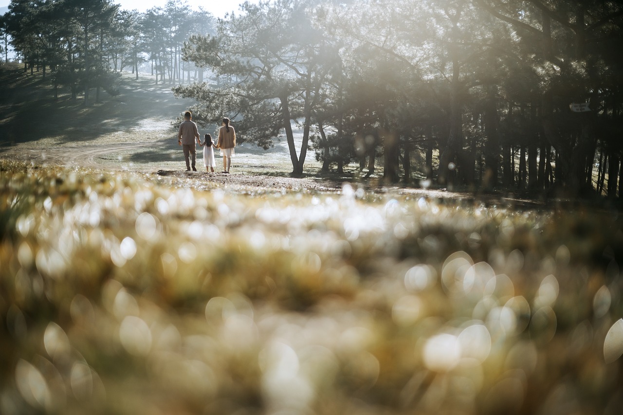 서울 도심에서 즐기는 여름의 북크닉 – 서울 야외 도서관의 매력