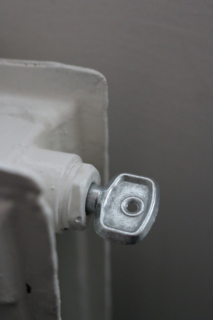 배우 윤여정의 사주: 모친의 힘과 정인의 의지