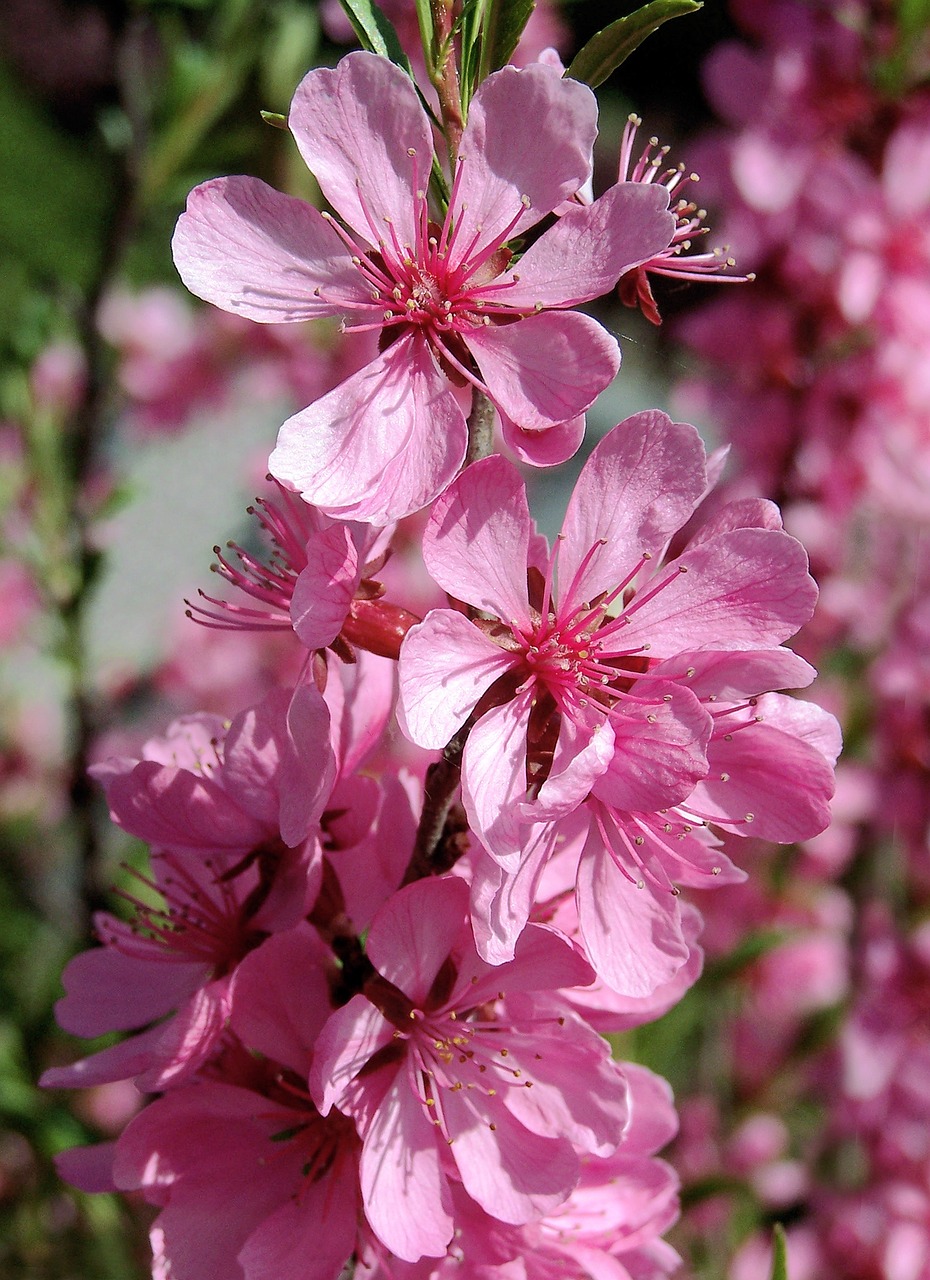 운전면허 취득일 조회 방법: 온라인과 오프라인에서 쉽게 확인하기