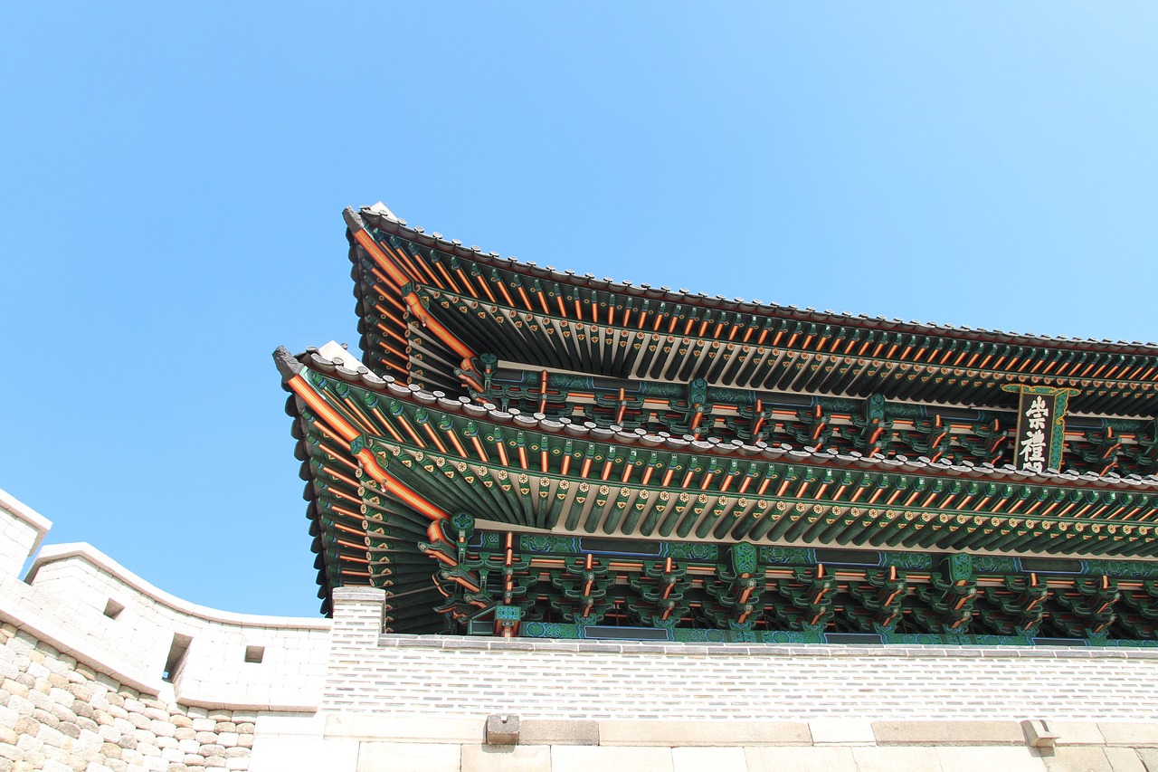 서울에서의 완벽한 산책 코스, 하늘공원 메타세콰이어길을 소개할게요!