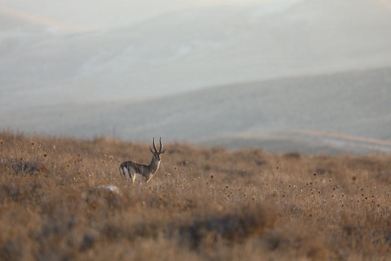레이저 시술 후 완벽한 관리법: 피부 재생과 건강을 위한 필수 가이드