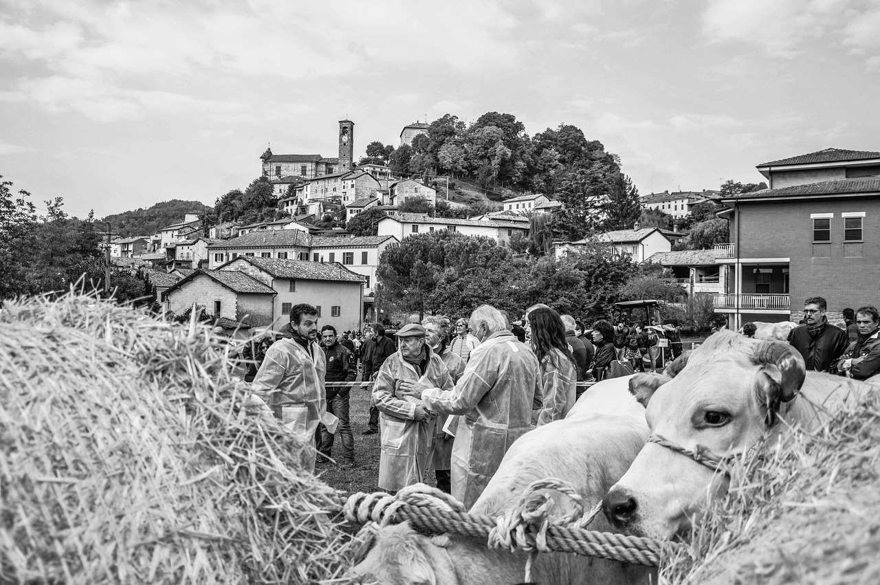 2025학년도 수능 9월 모의고사 신청 가능한 학원과 준비물 확인하기