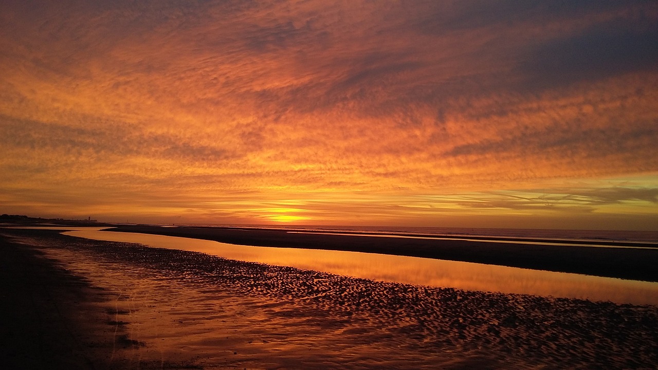 김장 시즌, 절임배추와 김장김치 가격비교를 위한 완벽 가이드!