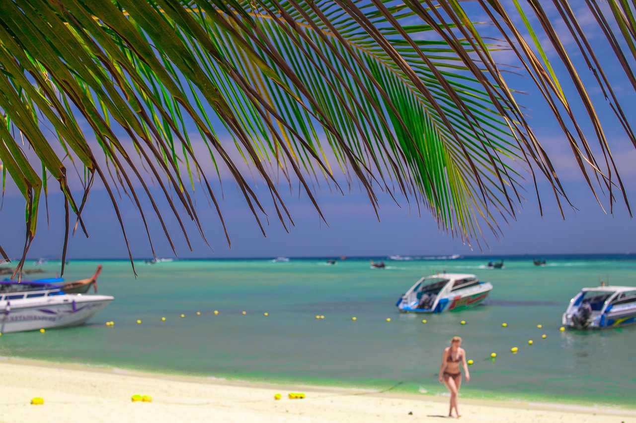 세금 포인트를 활용한 스마트한 할인 쇼핑! 반드시 알아야 할 정보