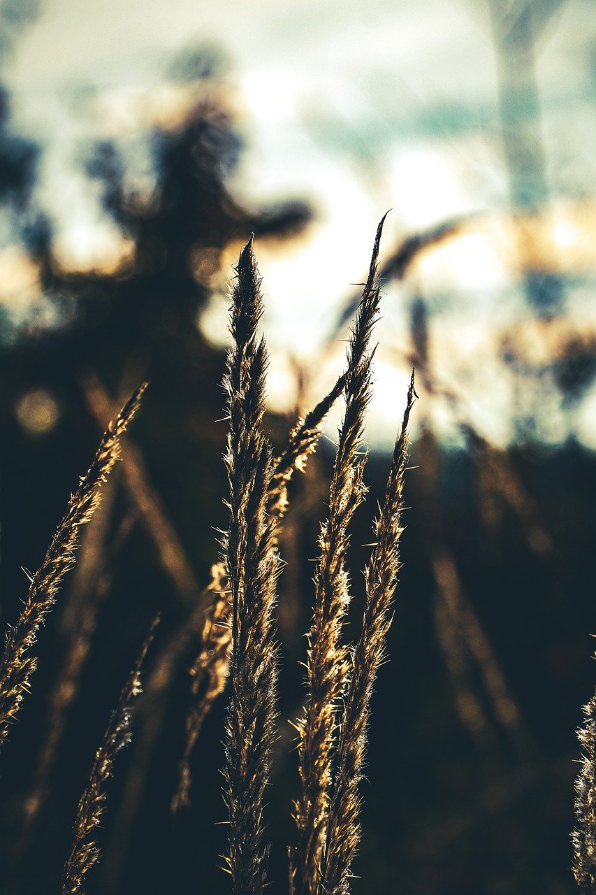 연말정산 간소화 서비스, 이렇게 준비하세요!