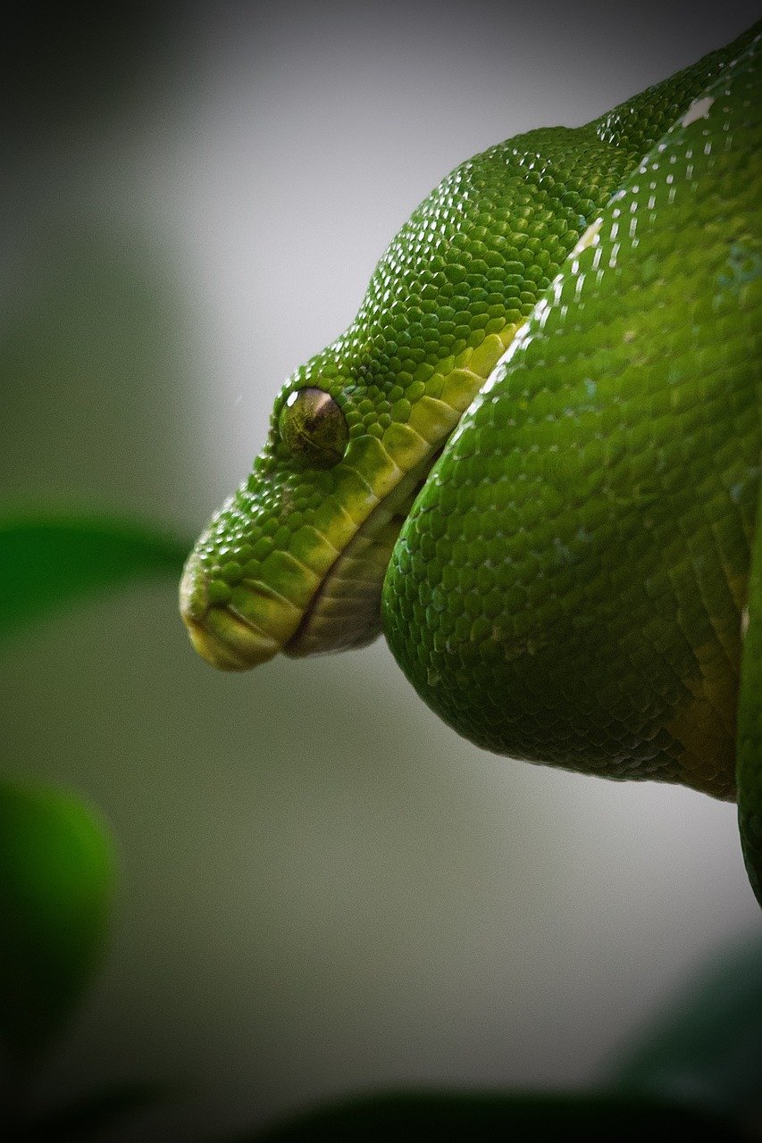 비트코인 자동매매, Python 및 Visual Studio Code 설치로 시작하기
