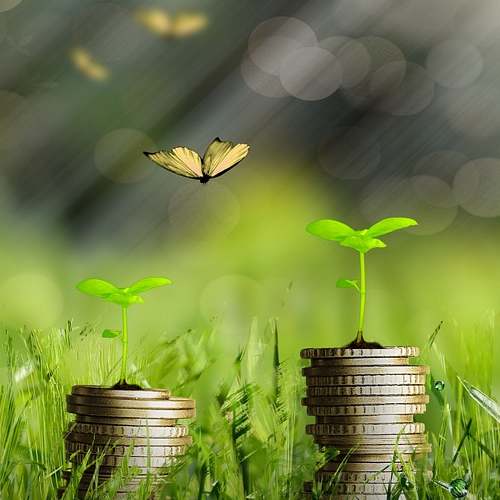 관절 건강을 지켜주는 김연자 관절보궁! 효능과 할인 혜택 확인하세요!