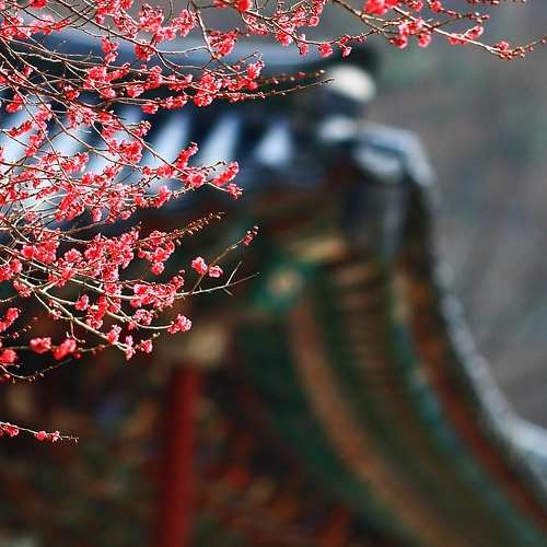 골드만삭스: 미국 주식 시장의 선두주자, 미래의 주가 전망을 들여다보세요