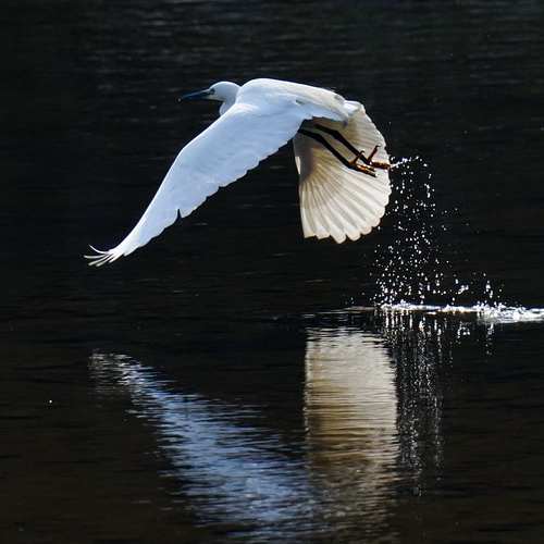 주거급여 신청 자격 완벽 분석: 당신이 알아야 할 모든 것