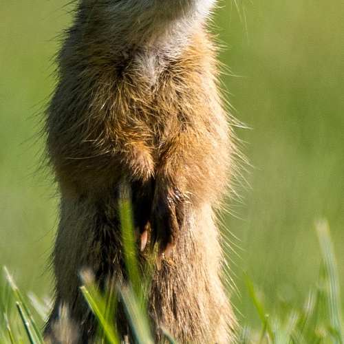 정부지원 보금자리론: 대출자격과 금리할인 혜택 최전선!