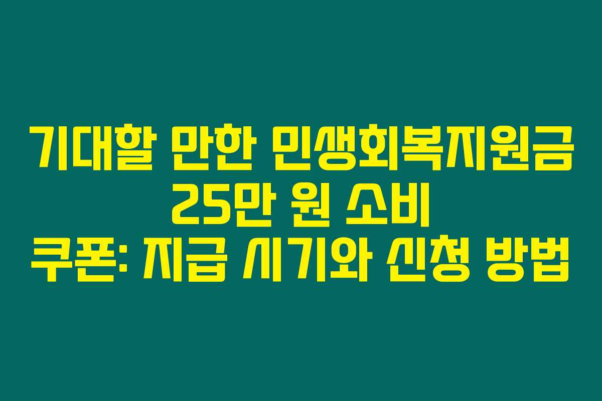 기대할 만한 민생회복지원금 25만 원 소비 쿠폰: 지급 시기와 신청 방법 기대할 만한 민생회복지원금 25만 원 소비 쿠폰: 지급 시기와 신청 방법