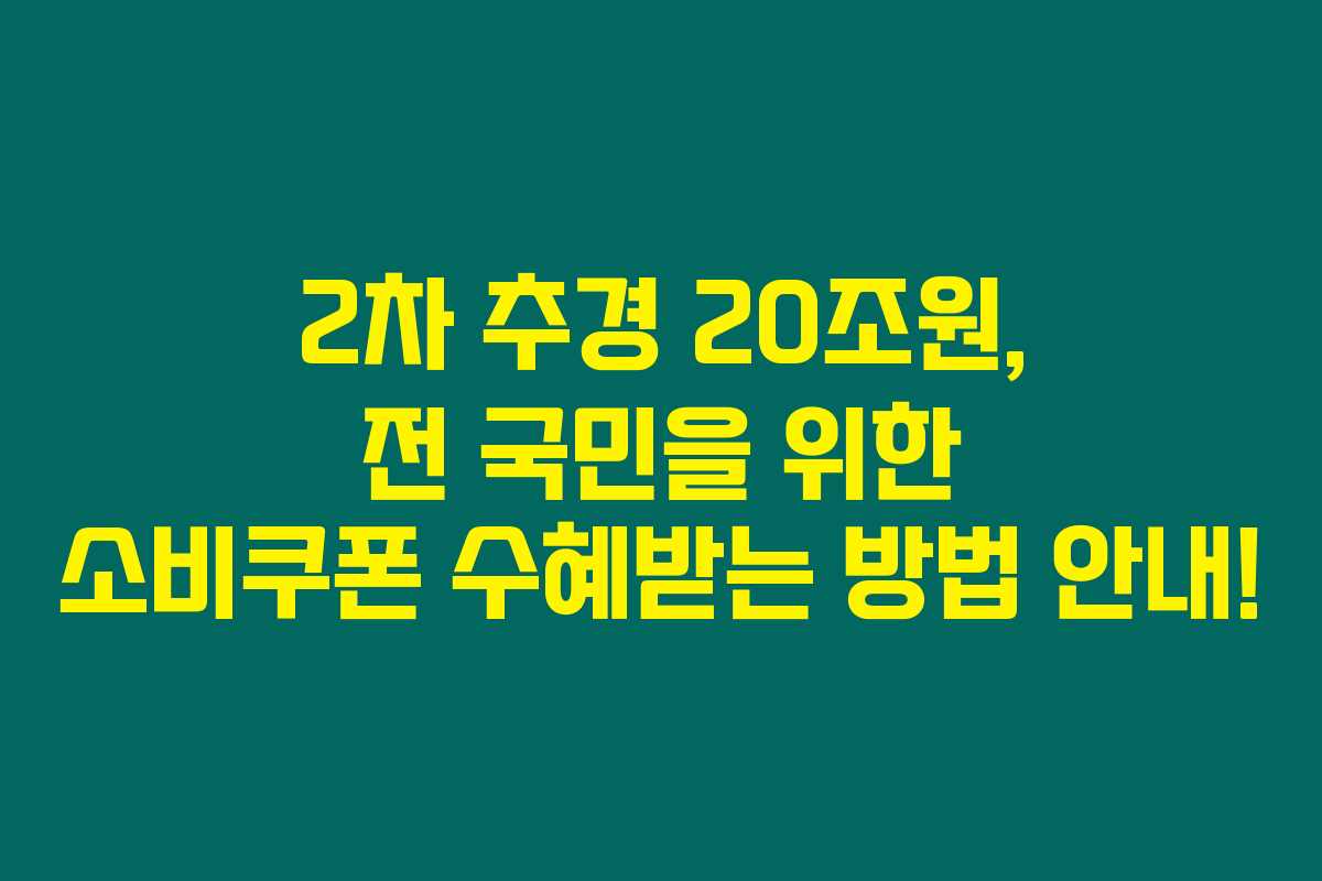 2차 추경 20조원, 전 국민을 위한 소비쿠폰 수혜받는 방법 안내!