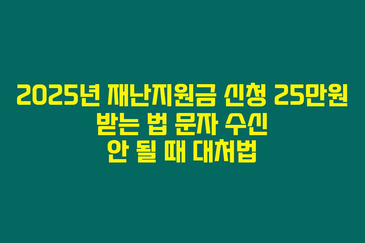 2025년 재난지원금 신청 25만원 받는 법 문자 수신 안 될 때 대처법