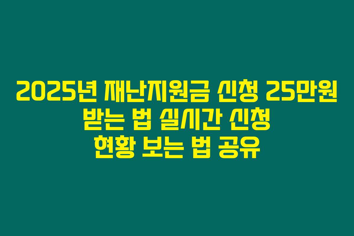 2025년 재난지원금 신청 25만원 받는 법 실시간 신청 현황 보는 법 공유