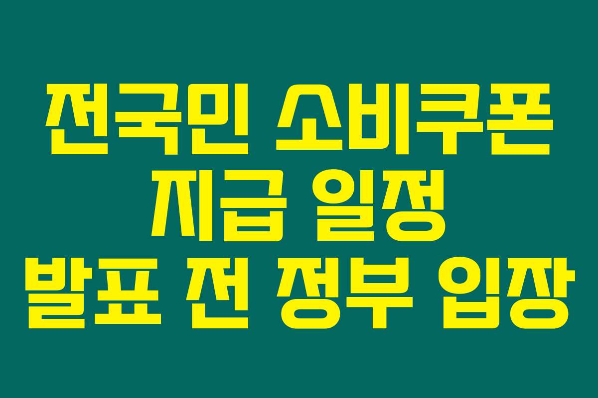 전국민 소비쿠폰 지급 일정 발표 전 정부 입장
