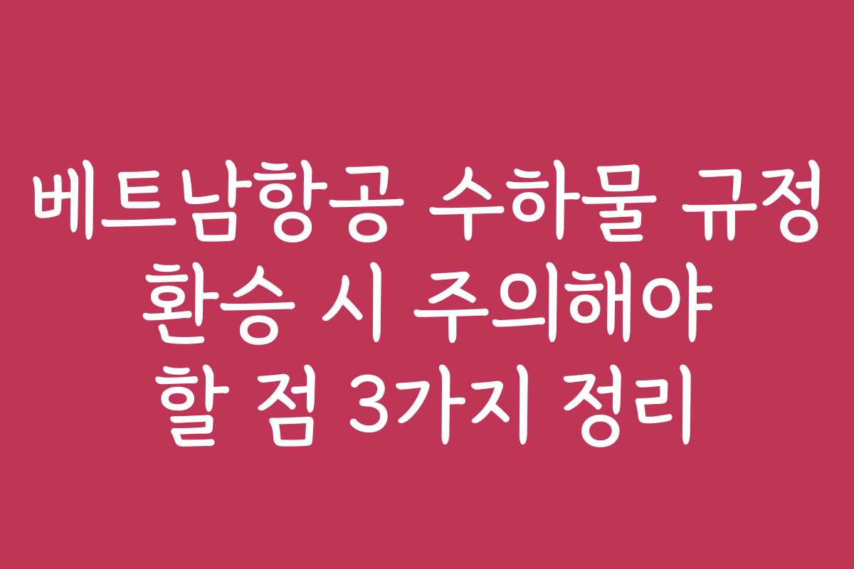 베트남항공 수하물 규정 환승 시 주의해야 할 점 3가지 정리