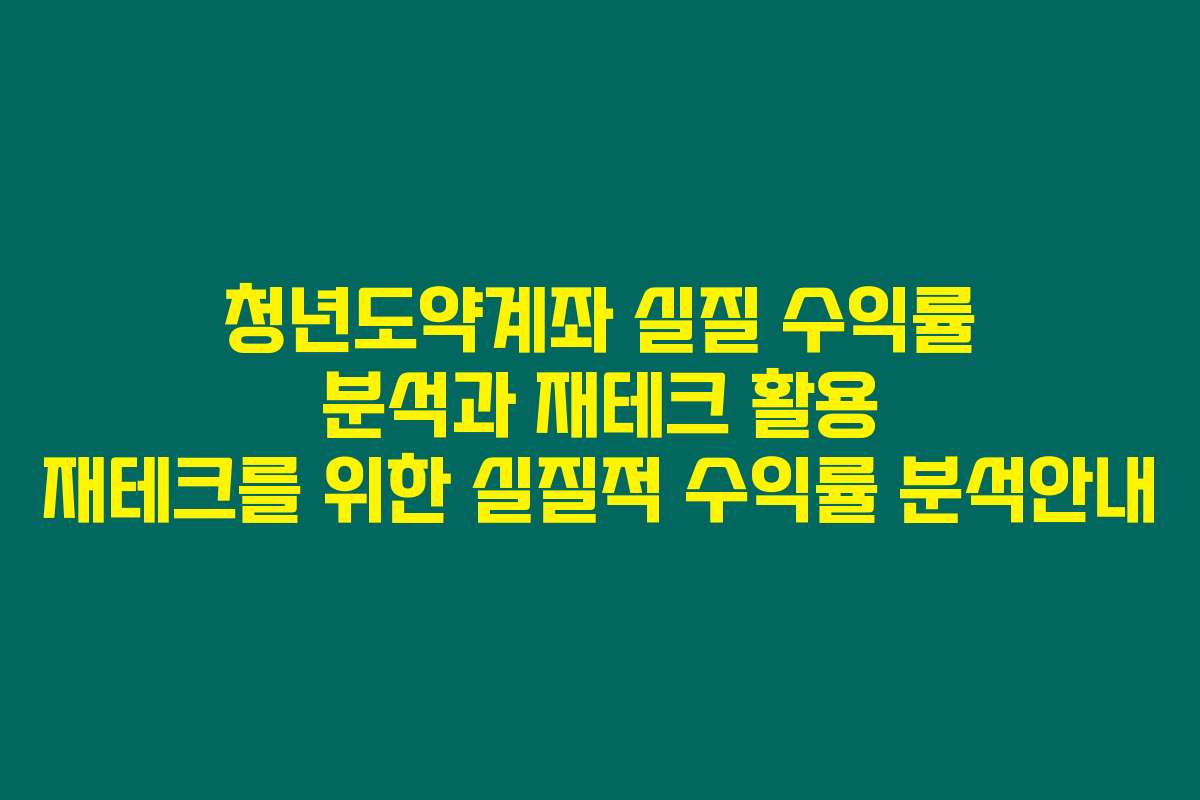 청년도약계좌 실질 수익률 분석과 재테크 활용 재테크를 위한 실질적 수익률 분석안내