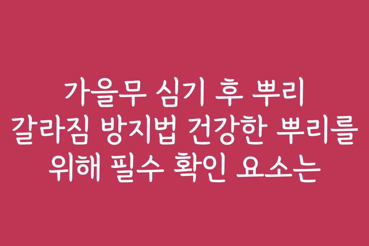 가을무 심기 후 뿌리 갈라짐 방지법 건강한 뿌리를 위해 필수 확인 요소는