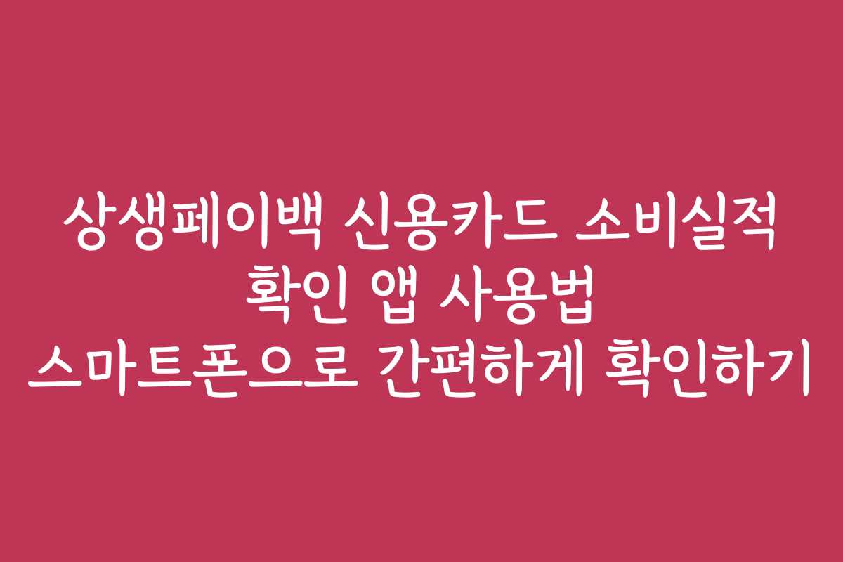 상생페이백 신용카드 소비실적 확인 앱 사용법 스마트폰으로 간편하게 확인하기