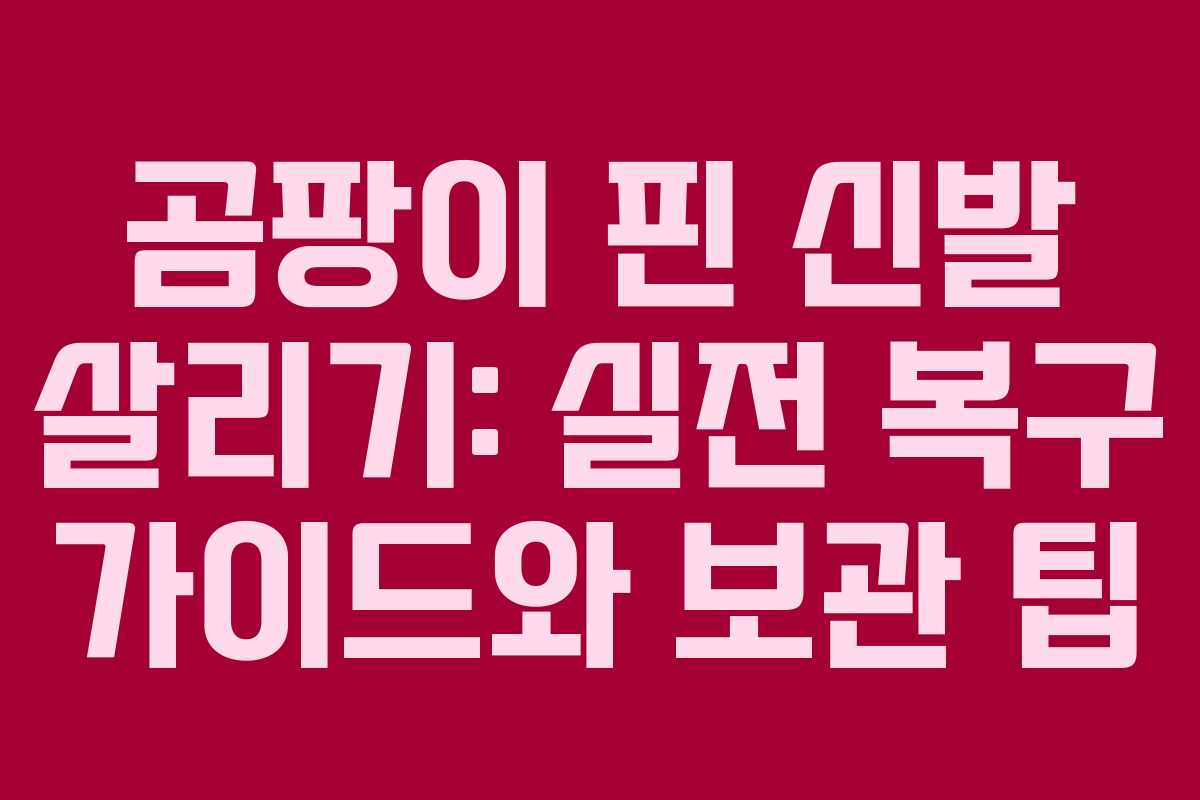 곰팡이 핀 신발 살리기: 실전 복구 가이드와 보관 팁