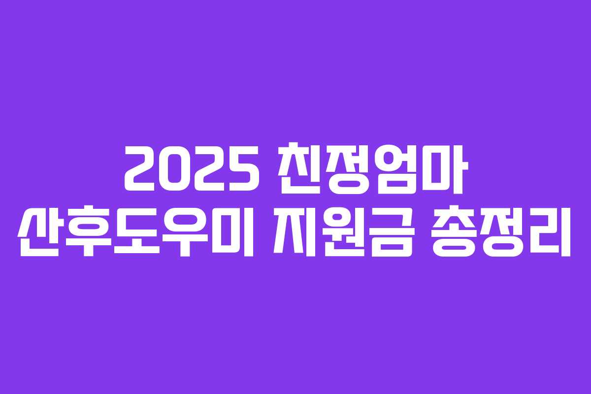 2025 친정엄마 산후도우미 지원금 총정리