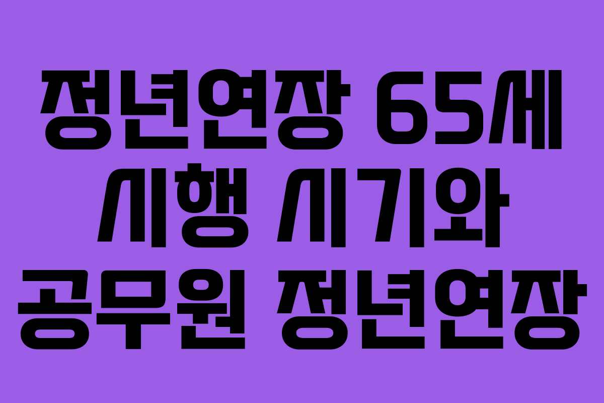 정년연장 65세 시행 시기와 공무원 정년연장 정년연장 65세 시행 시기와 공무원 정년연장
