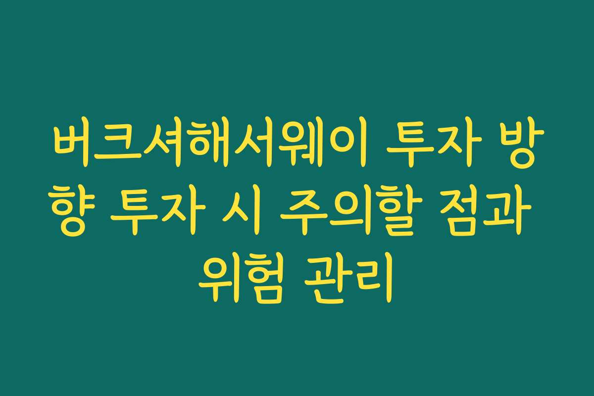 버크셔해서웨이 투자 방향 투자 시 주의할 점과 위험 관리