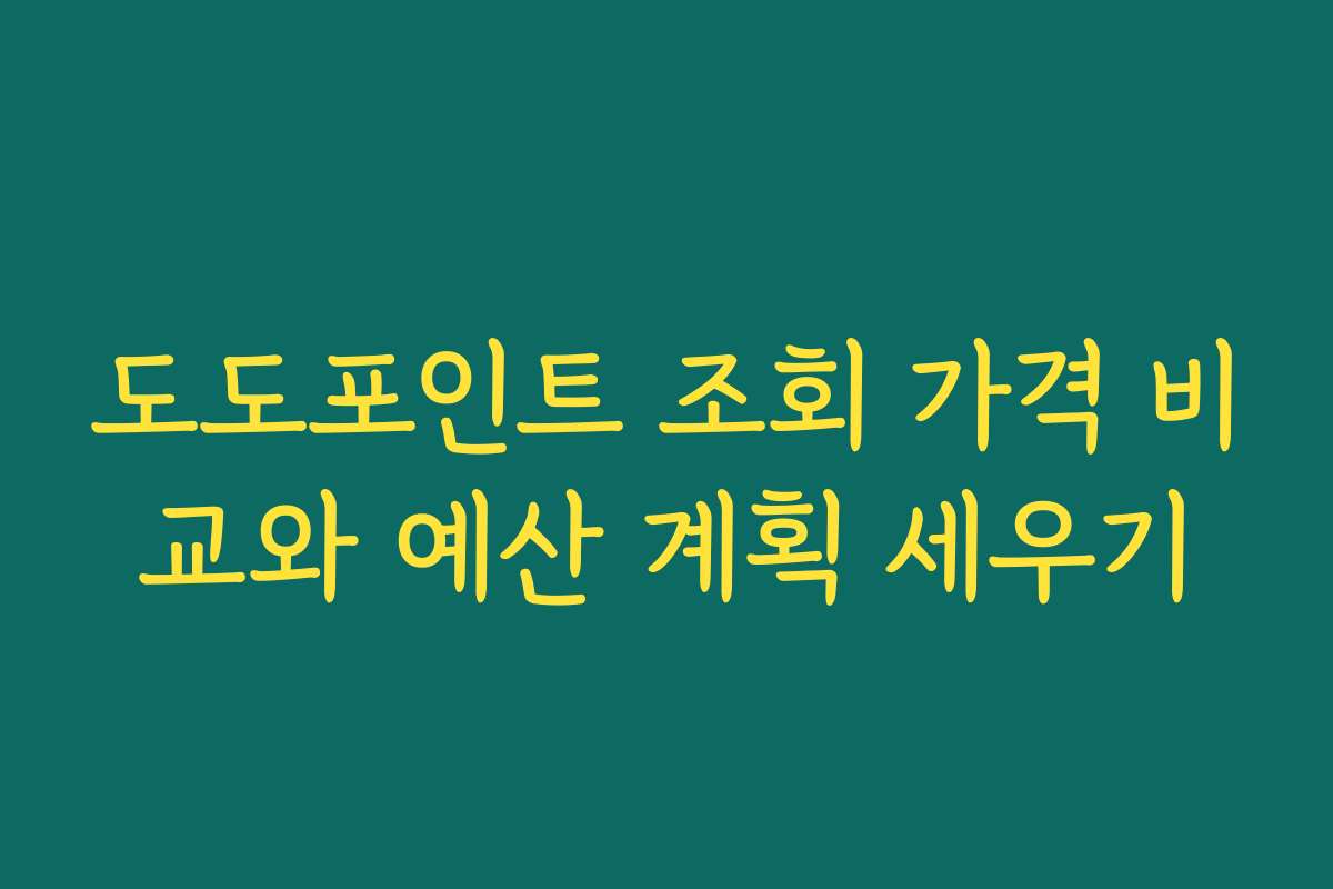 도도포인트 조회 가격 비교와 예산 계획 세우기
