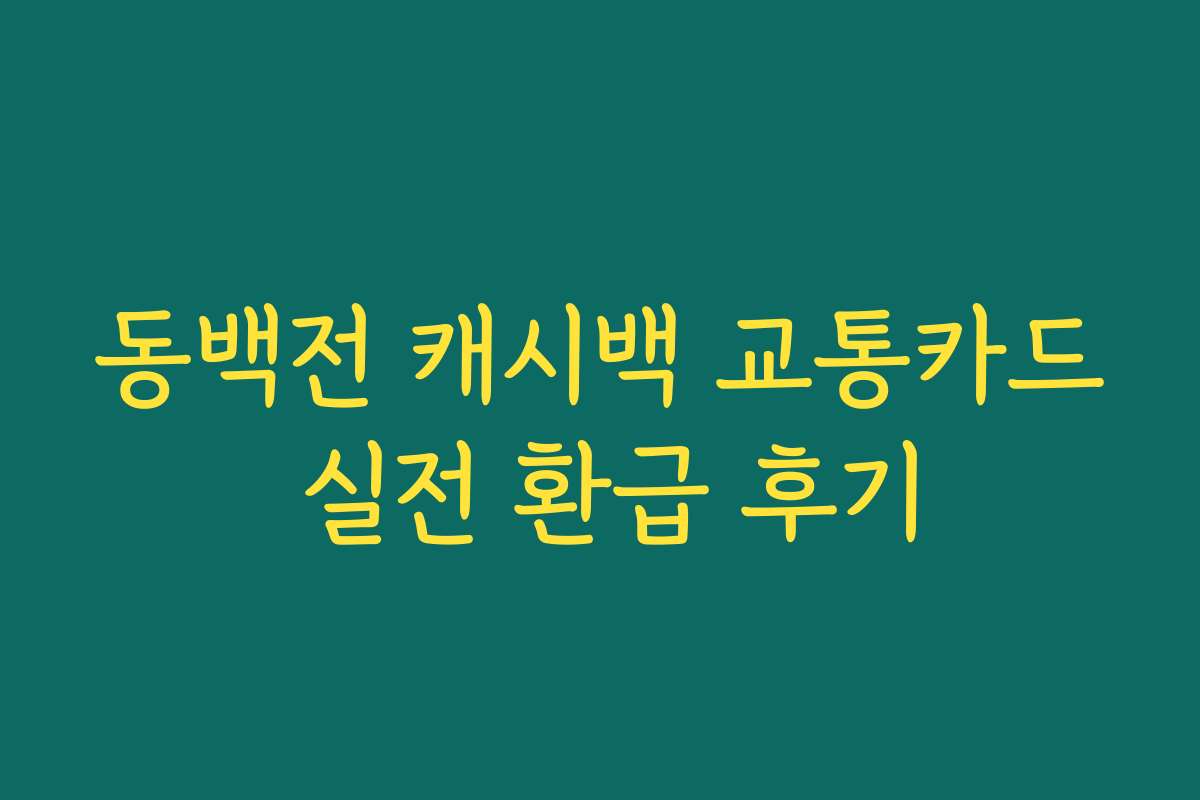 동백전 캐시백 교통카드 실전 환급 후기 동백전 캐시백 교통카드 실전 환급 후기