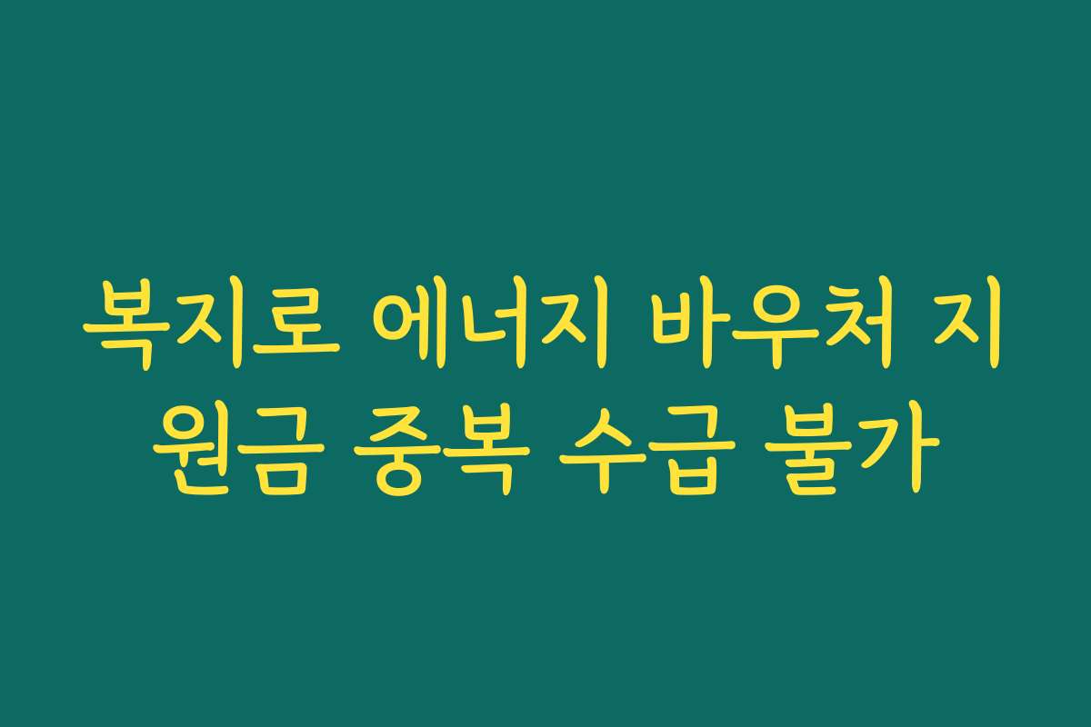 복지로 에너지 바우처 지원금 중복 수급 불가 복지로 에너지 바우처 지원금 중복 수급 불가