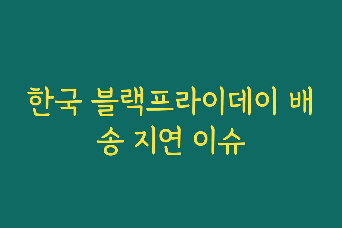 한국 블랙프라이데이 배송 지연 이슈 한국 블랙프라이데이 배송 지연 이슈