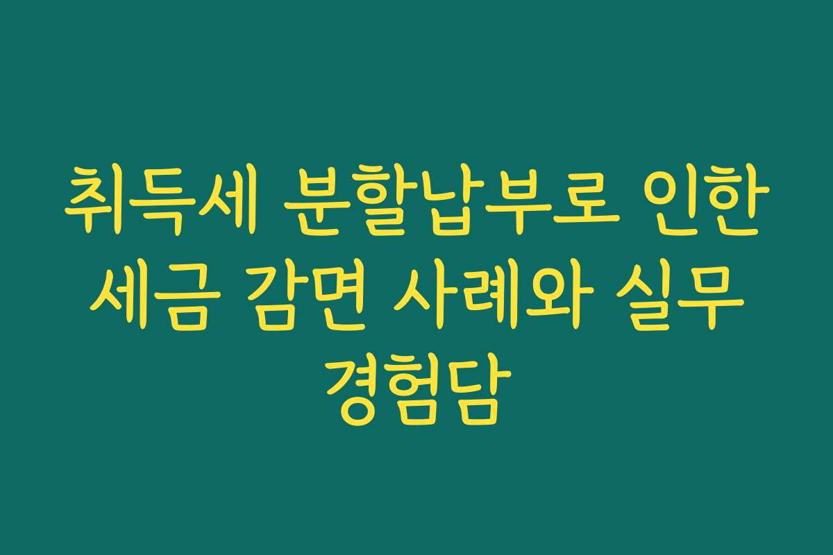 취득세 분할납부로 인한 세금 감면 사례와 실무 경험담