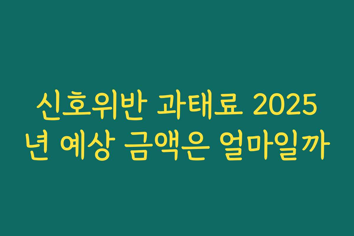 신호위반 과태료 2025년 예상 금액은 얼마일까
