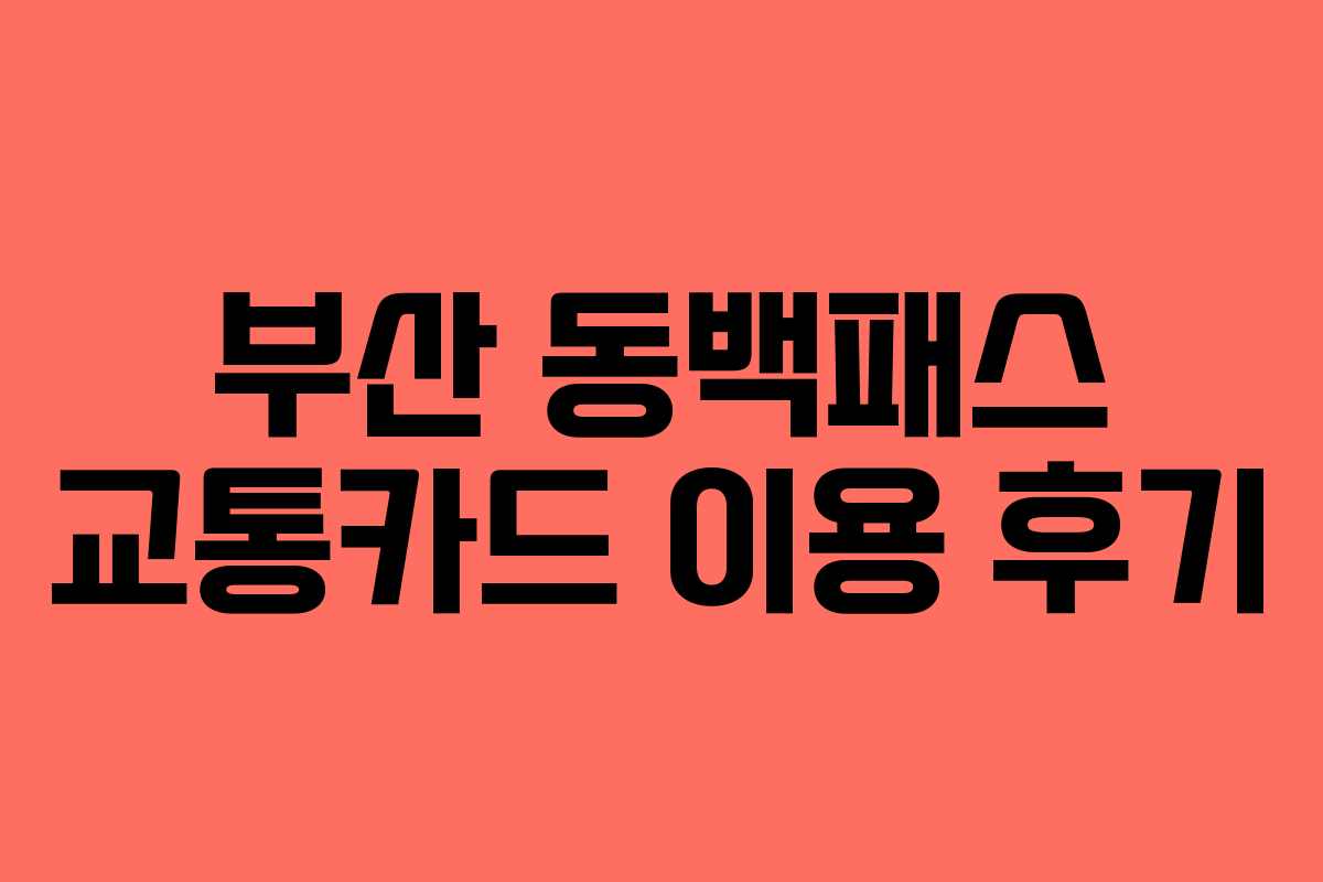 부산 동백패스 교통카드 이용 후기 부산 동백패스 교통카드 이용 후기
