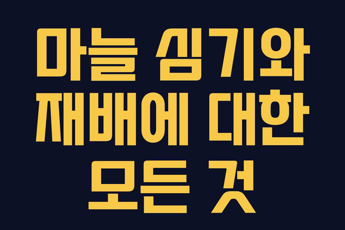 마늘 심기와 재배에 대한 모든 것 마늘 심기와 재배에 대한 모든 것