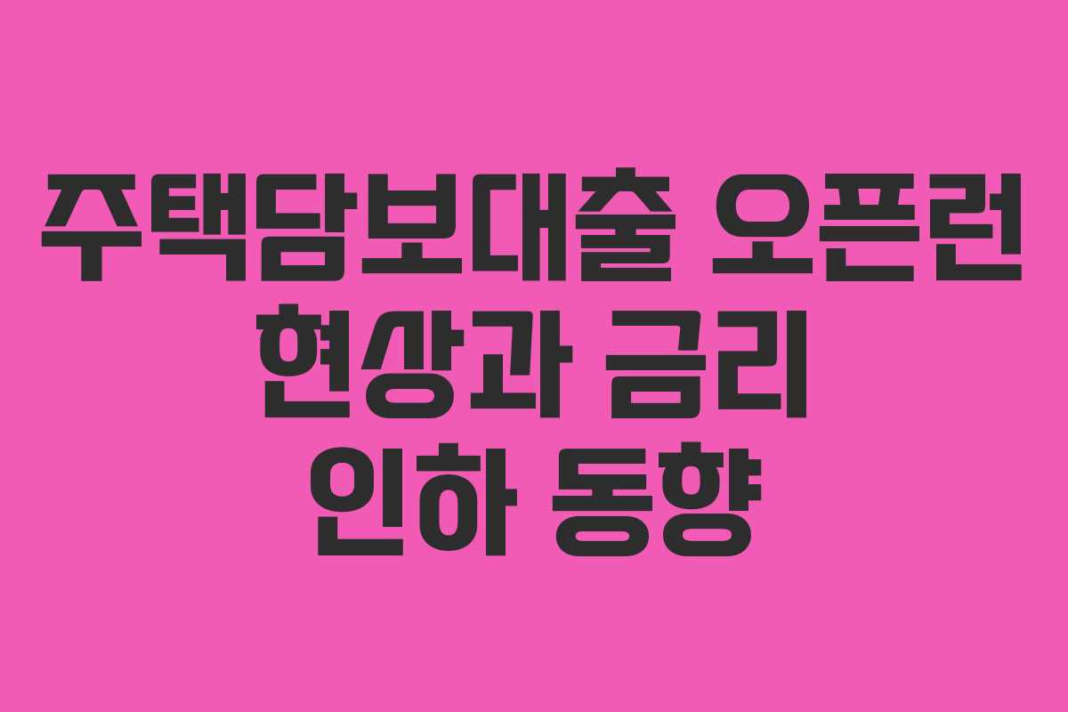주택담보대출 오픈런 현상과 금리 인하 동향