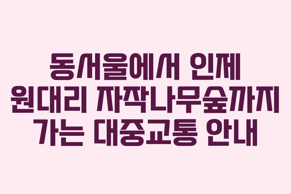 동서울에서 인제 원대리 자작나무숲까지 가는 대중교통 안내
