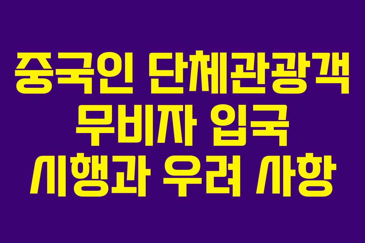 중국인 단체관광객 무비자 입국 시행과 우려 사항