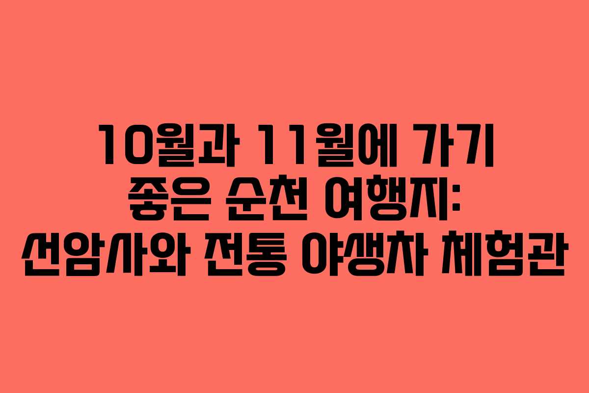 10월과 11월에 가기 좋은 순천 여행지: 선암사와 전통 야생차 체험관