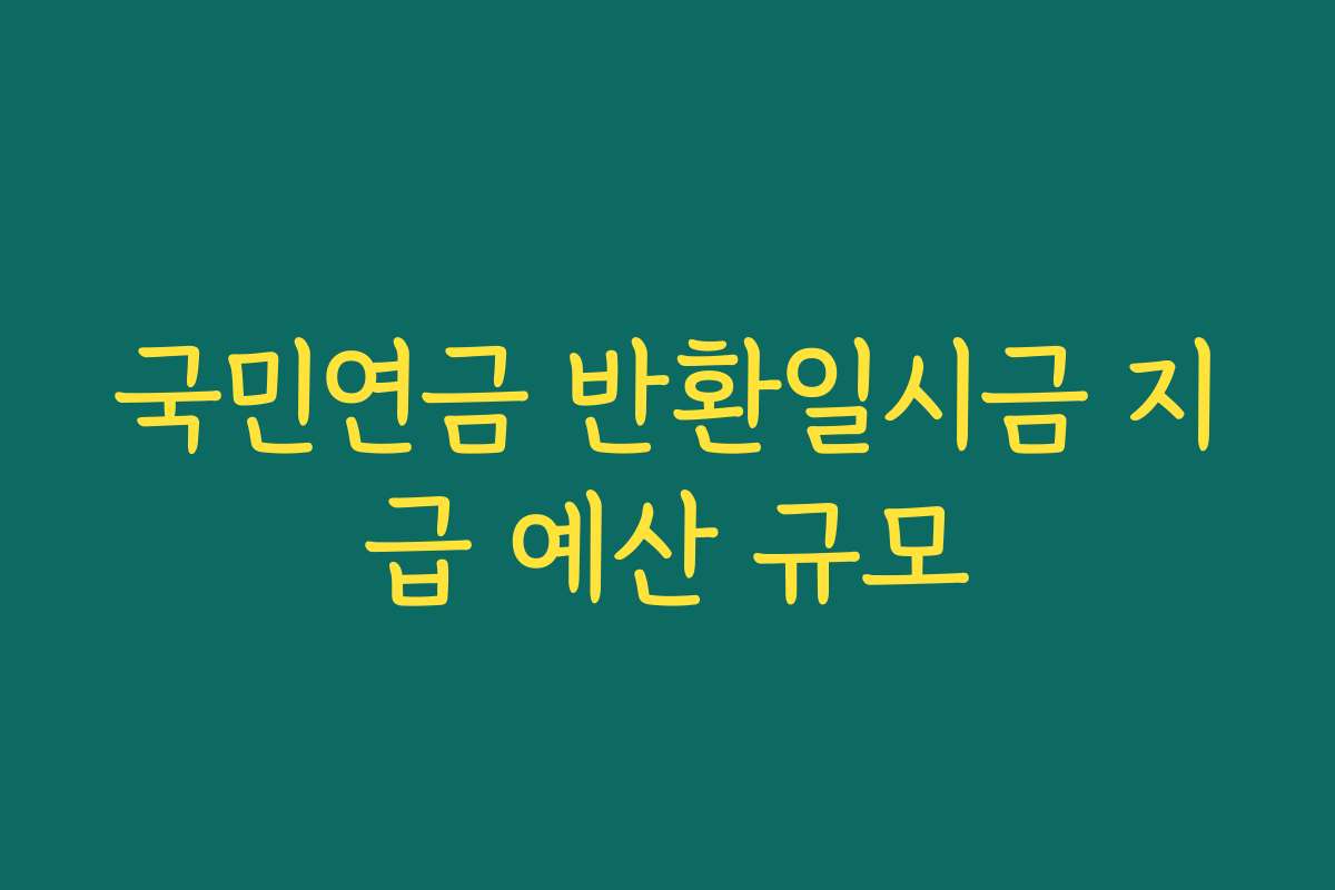 국민연금 반환일시금 지급 예산 규모
