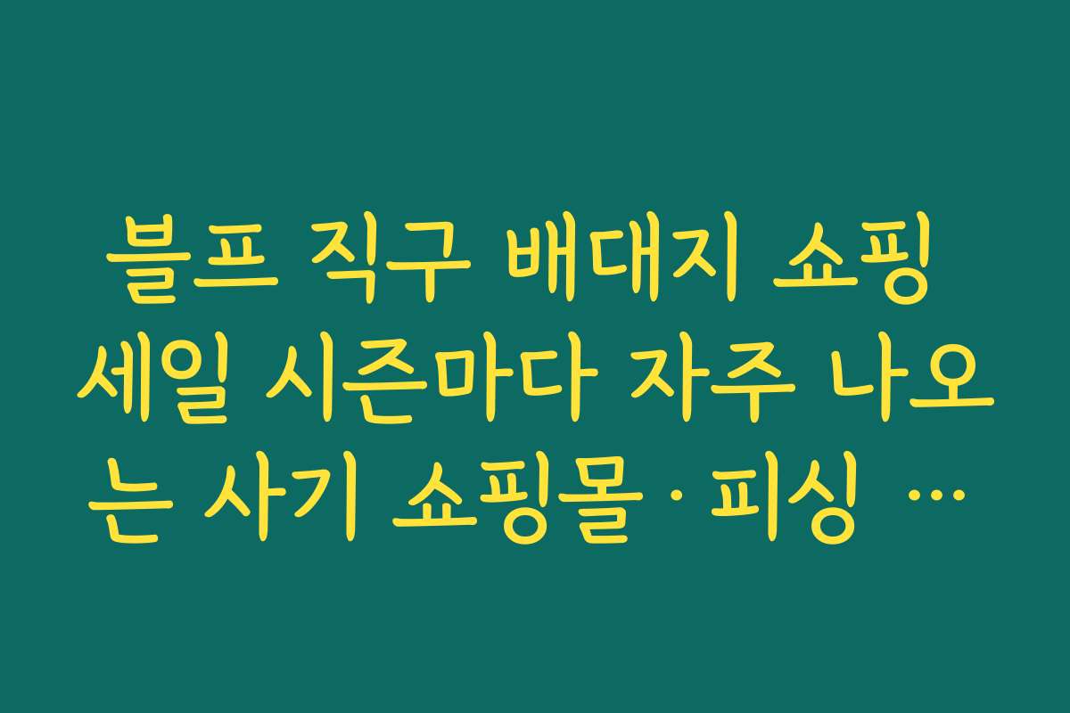 블프 직구 배대지 쇼핑 세일 시즌마다 자주 나오는 사기 쇼핑몰·피싱 메일 예방법 살펴보기