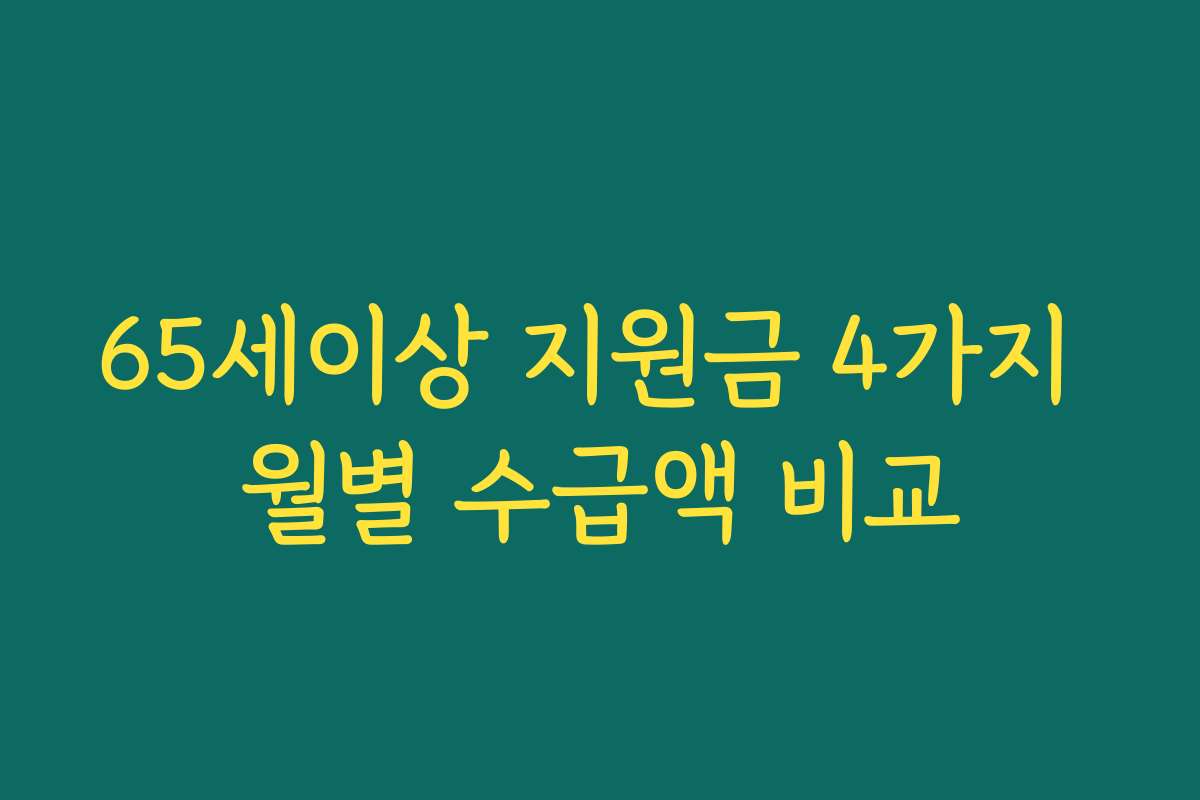 65세이상 지원금 4가지 월별 수급액 비교