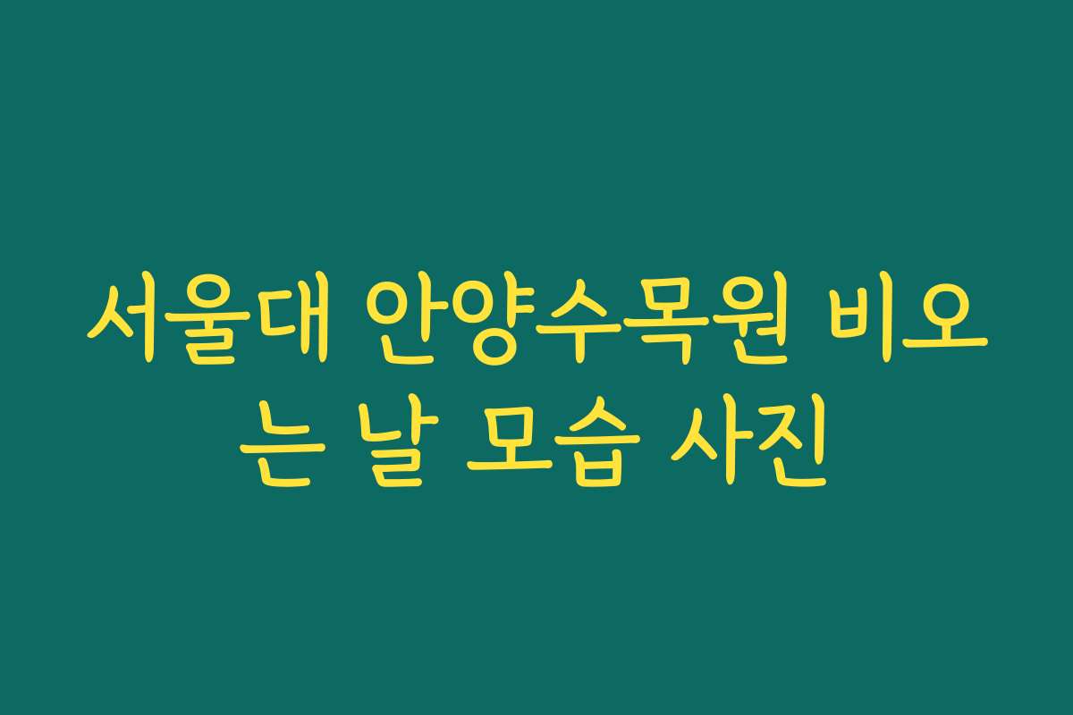 서울대 안양수목원 비오는 날 모습 사진
