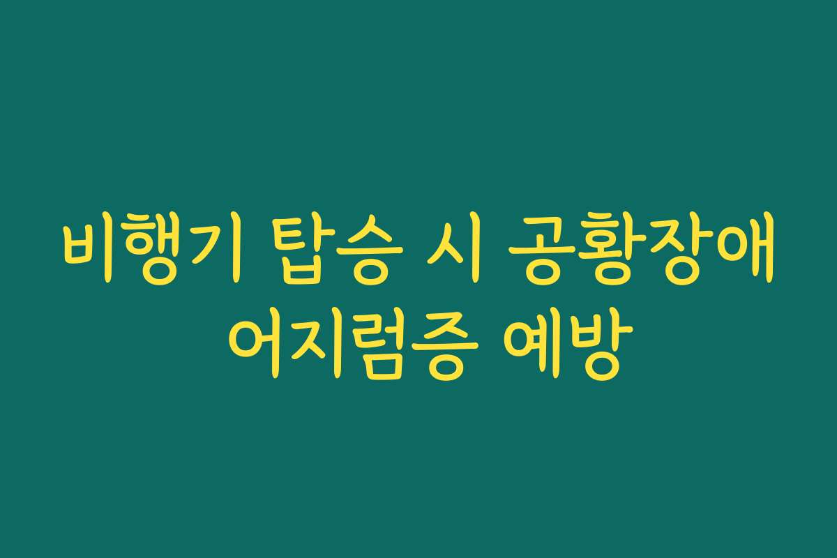 비행기 탑승 시 공황장애 어지럼증 예방