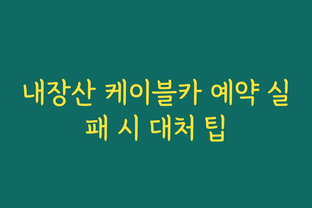 내장산 케이블카 예약 실패 시 대처 팁
