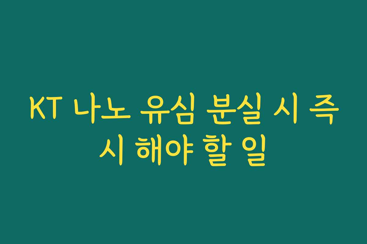 KT 나노 유심 분실 시 즉시 해야 할 일