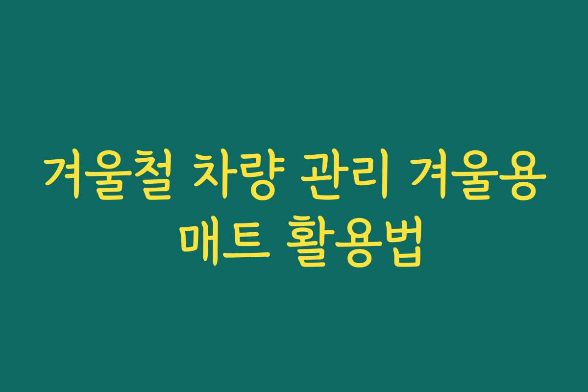 겨울철 차량 관리 겨울용 매트 활용법