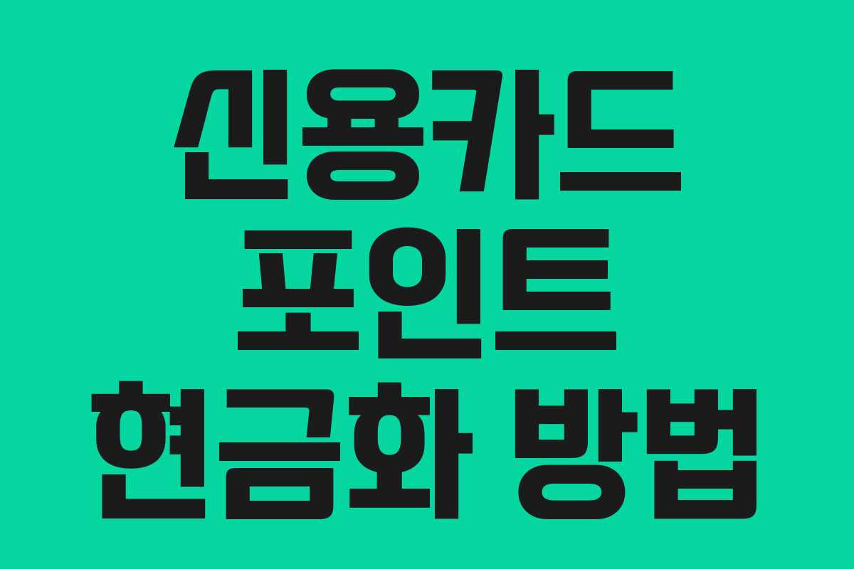 신용카드 포인트 현금화 방법 신용카드 포인트 현금화 방법